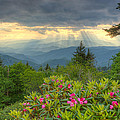 Great Smoky Mountains National Park