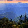 Surreal Smokies