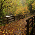 Deep Creek Trail- Great Smoky Mountains National Park